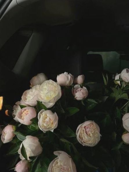 Verse bloemen kwaliteit