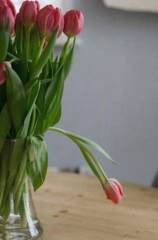 Rozenarrangement 1